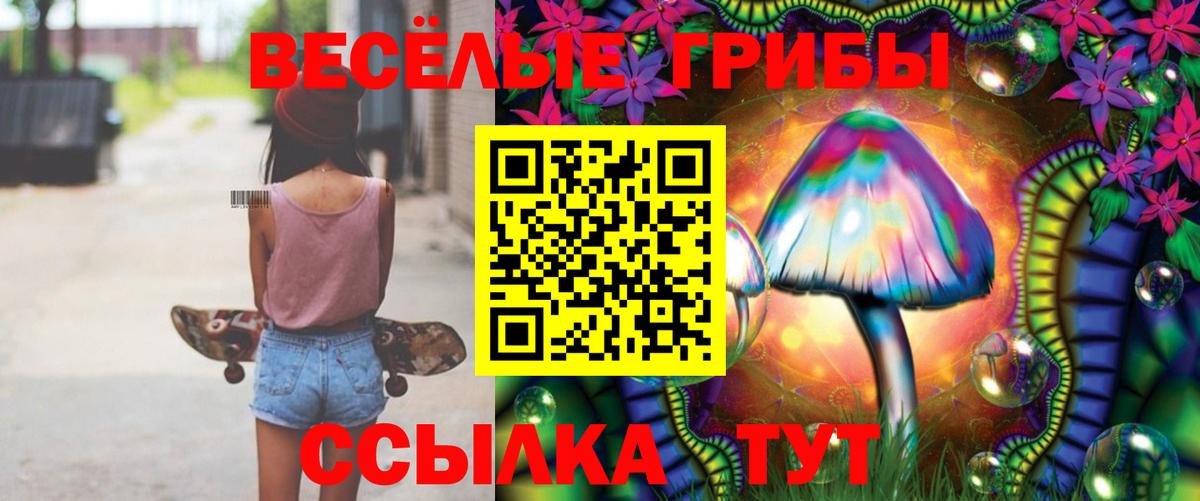 Псилоцибиновые грибы MAGIC MUSHROOMS  продажа наркотиков  Жуковский  Псилоцибиновые грибы GOLDEN TEACHER  Вход с VPN 