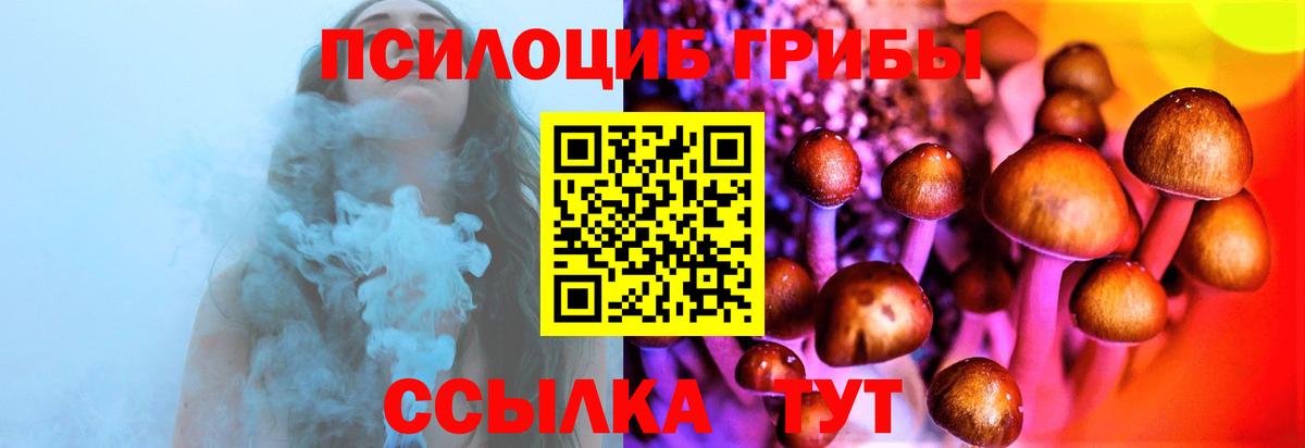 Псилоцибиновые грибы MAGIC MUSHROOMS Жуковский